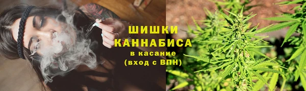 хмурый Горняк