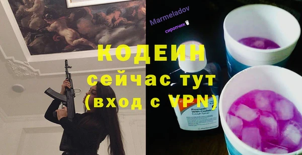 хмурый Горняк
