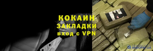 прущие грибы Бородино