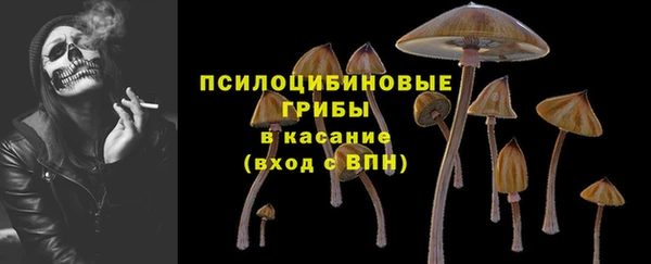 apvp Вяземский