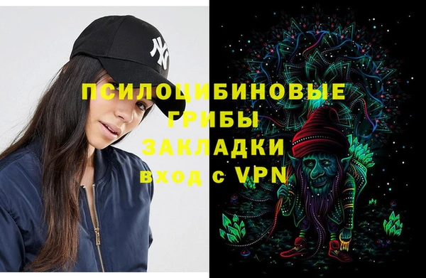 ешки Горнозаводск