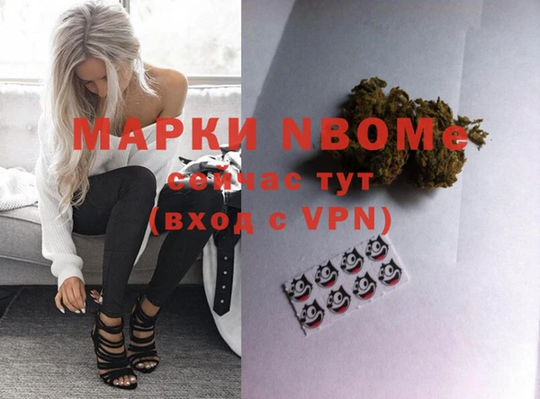 хмурый Горняк