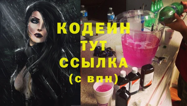 apvp Вяземский