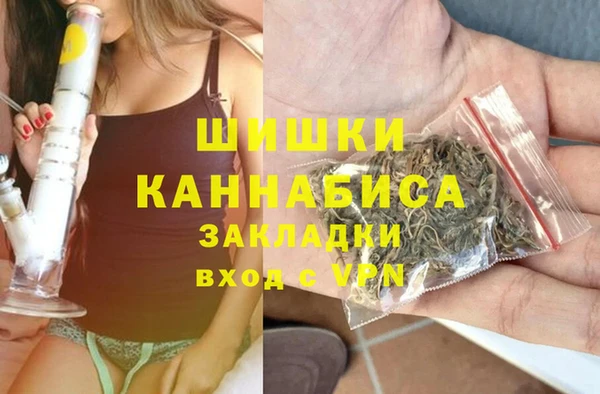 хмурый Горняк
