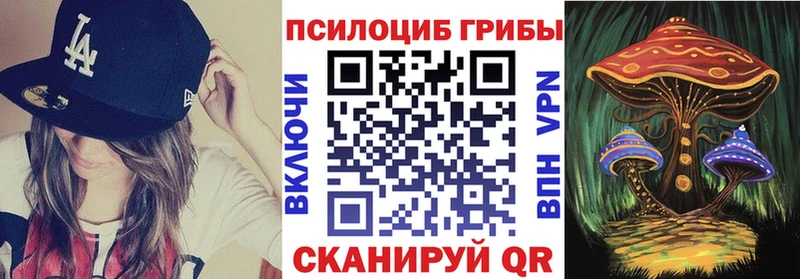 купить наркотик  Красногорск  blacksprut ссылки  Галлюциногенные грибы Magic Shrooms 
